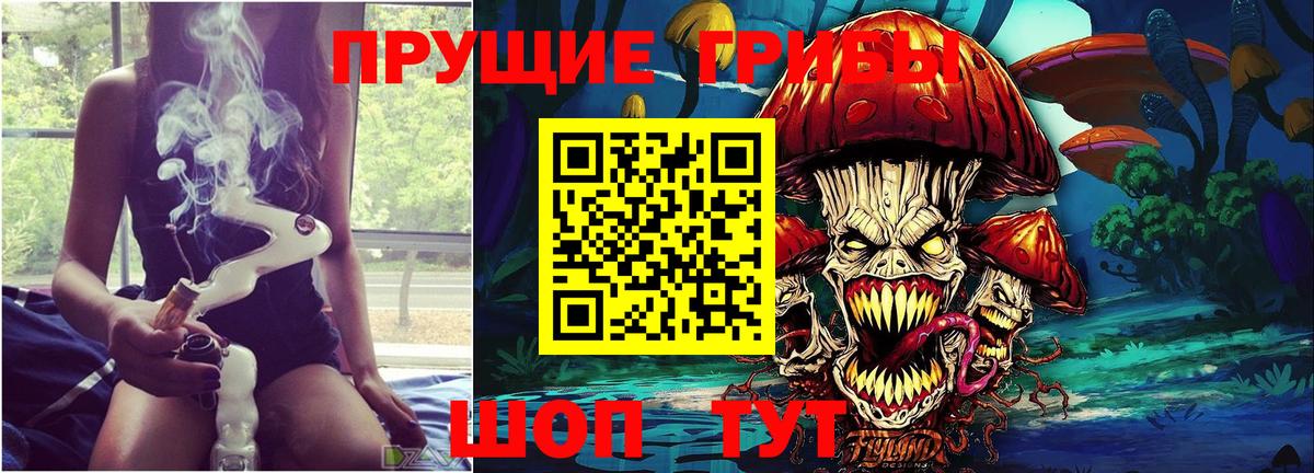 Юрга  Псилоцибиновые грибы Psilocybine cubensis  Вход с VPN 